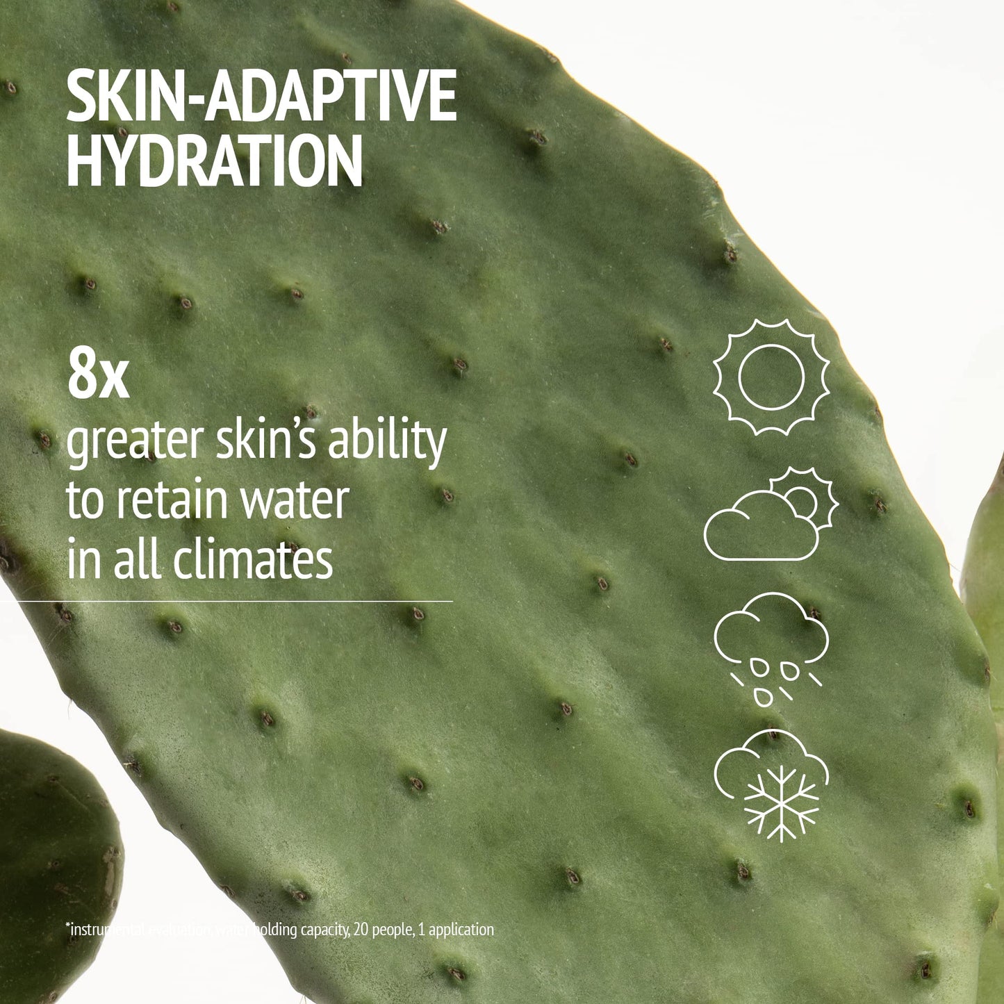 Hydramemory Light Sorbet Cream, Hydrating Face Gel, Non Greasy, Climate Adaptive, Immediate Glow, Softens, Vegan, Prickly Pear, Hyaluronic Acid, Combination Skin, Daily, 2.03 Fl Oz