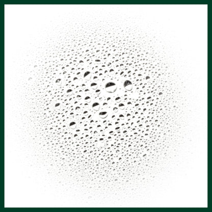 Aveda Scalp Solutions Refreshing Protective Mist | Reduces Sebum, Helps Control Oil | Helps Protect the Scalp | Great for Oily Scalp | 98% Naturally Derived*, 3.4 Fl Oz