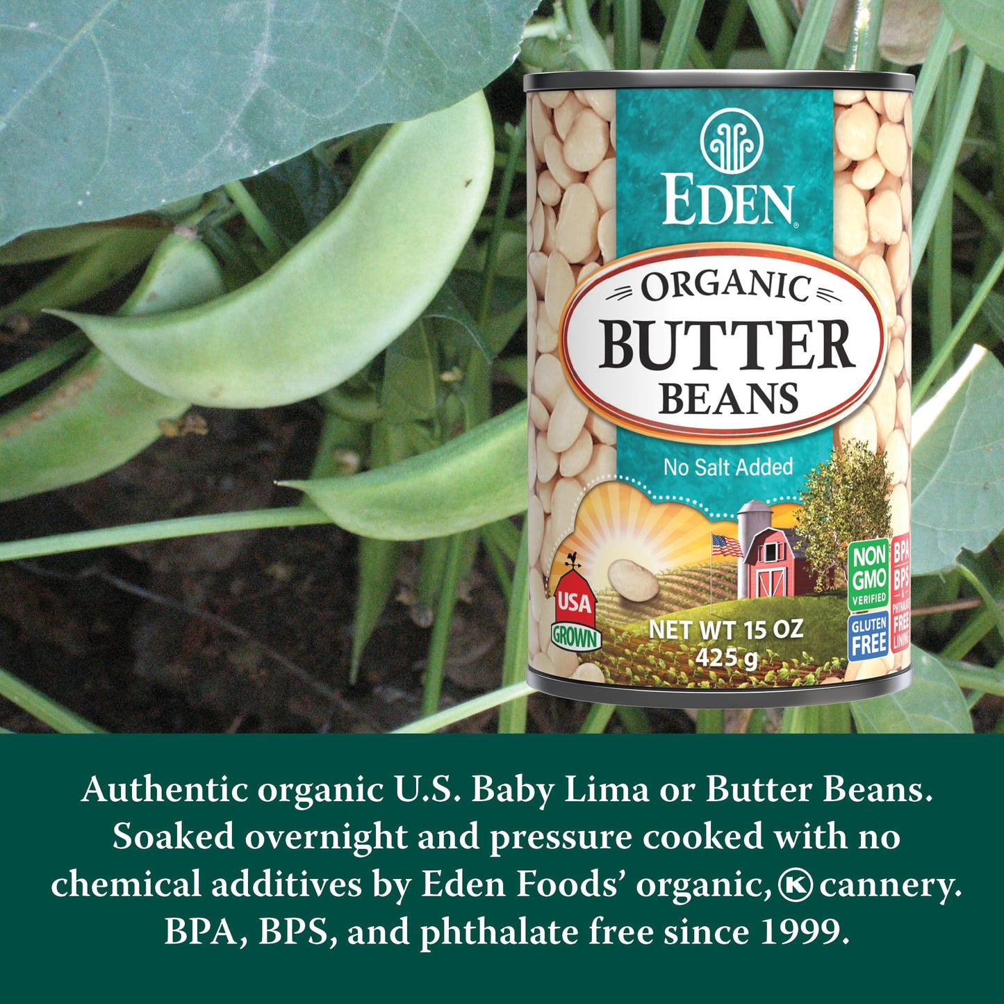Eden Organic Butter Beans, (Baby Lima Beans), No Salt Added, USA Grown, Non GMO, 15 oz (12-Pack)