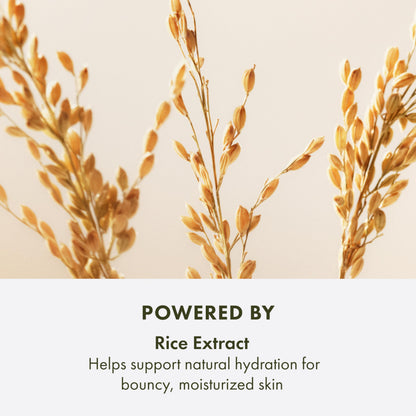 Origins Plantscription Lifting + Firming Peptide Moisturizer | Anti Aging Face Cream | Visibly Smooths Fine Lines and Wrinkles | With Peptide & Rice Extract