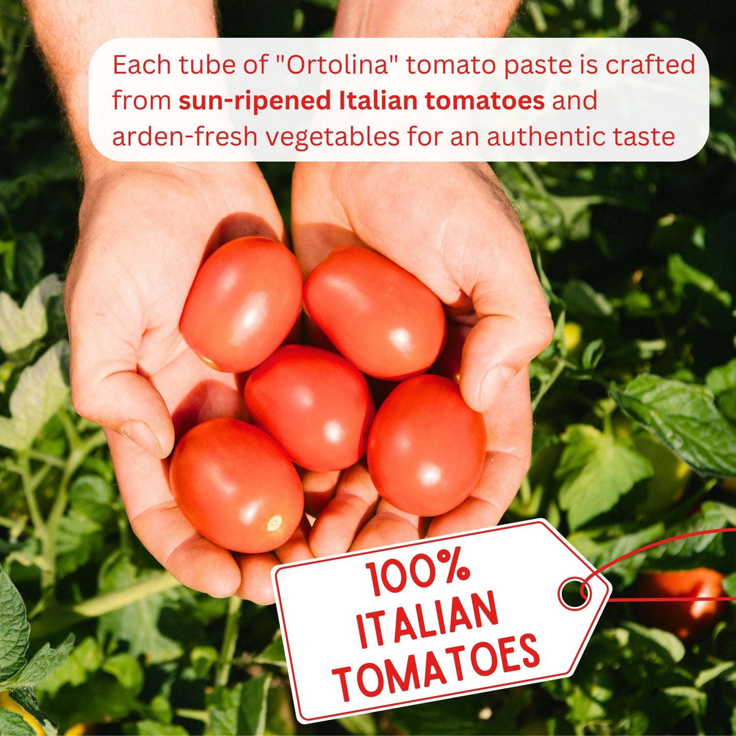 Tomato Paste Tube "Ortolina" Rodolfi Sauce, 130 gr (4.5 Oz) - Pack of 2, Authentic Italian Product with Fresh Tomatoes and Vegetables, Imported from Italy, Additive-free