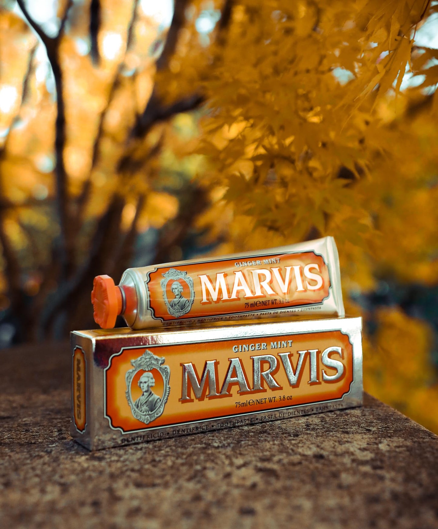 Marvis Ginger Mint Toothpaste