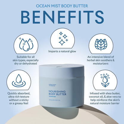 SEACRET Minerals Dead Sea Body Butter - Ultra-Rich Shea Butter & Coconut Oil Body Moisturizing Cream for Dry Skin, Fast Absorbing, Non-Greasy with Aloe Vera & Vitamin E, 8.5 fl. oz.