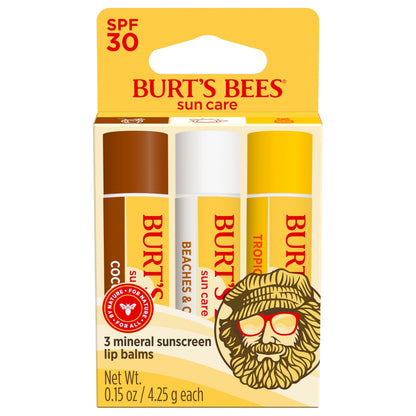 Burt's Bees Easter Basket Stuffers, Lip Balm Party Pack - Birthday Cake, Waffle Cone, Strawberry Shortcake, Cookies & Cream, All Day Moisturizer, Natural Origin Lip Treatment, 4 Tubes, 0.15 oz.