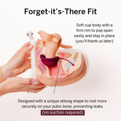 Menstrual Discs with Sterilizer - Ranked 1 for Most Comfortable Soft Reusable Period Disc - Kills 99.9% of Germs with Cleaner Steamer - Wash Your Disc in 3 Minutes! - Compact Sanitizer Kit