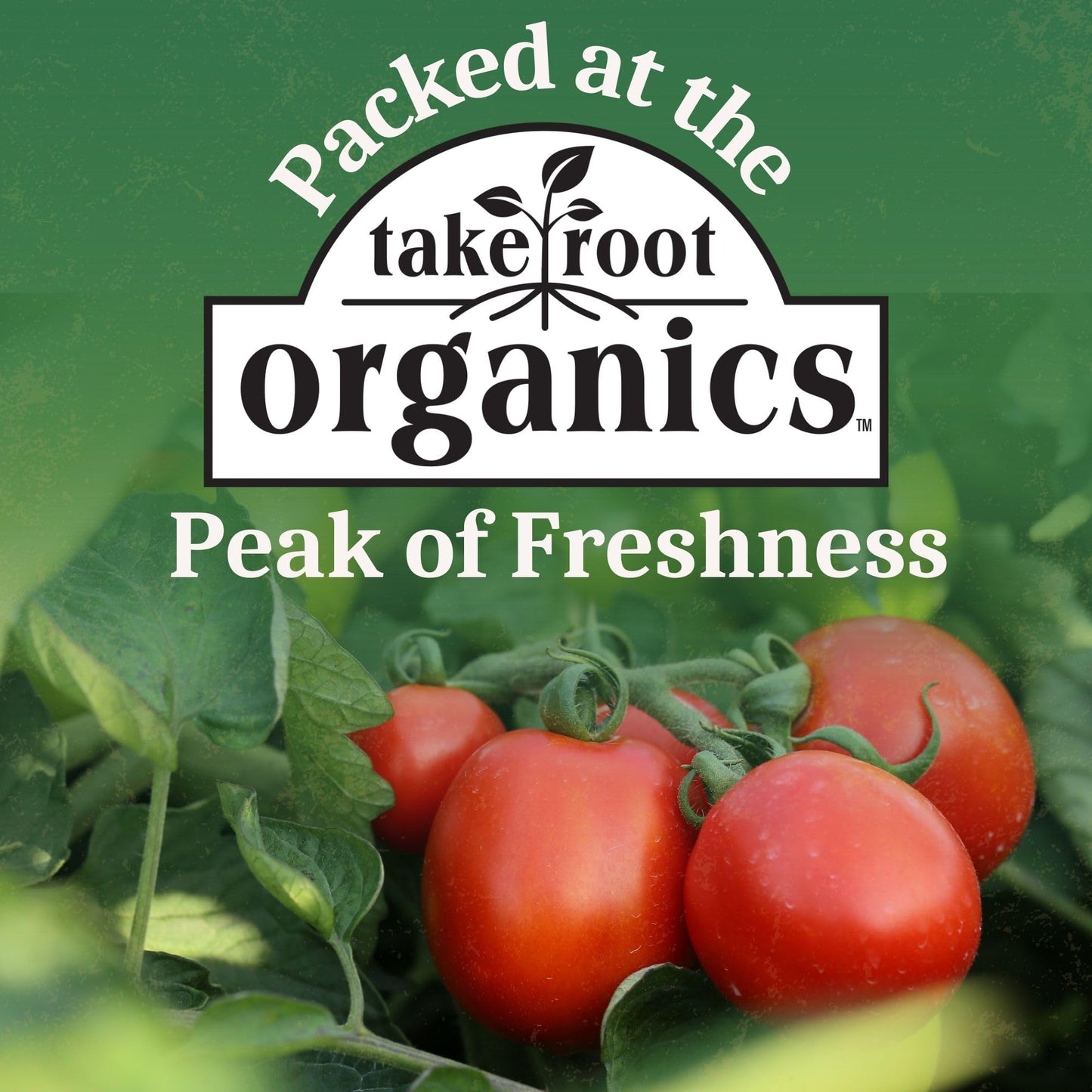 Take Root Organics Whole Peeled Organic Canned Tomatoes, 28 oz Can (Pack of 6 Cans)