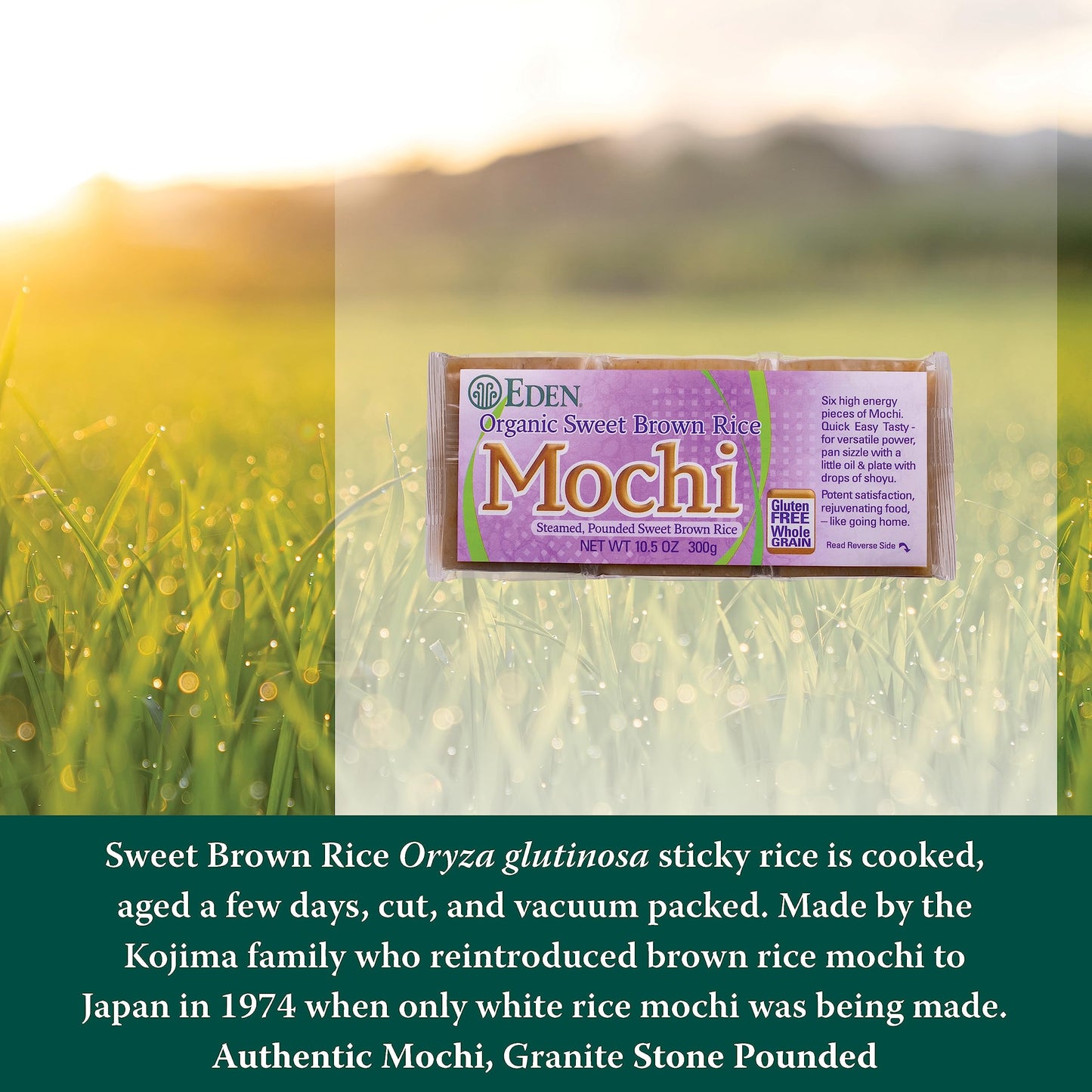 EDEN FOODS Organic Sweet Brown Rice Mochi, 10.5 OZ