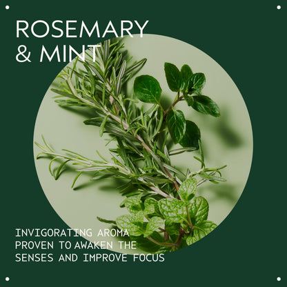 Aveda Rosemary Mint Body Lotion | Lightweight Cooling Lotion with Menthol | with Invigorating Aroma of Certified Organic Peppermint & Rosemary, 6.7 Fl Oz