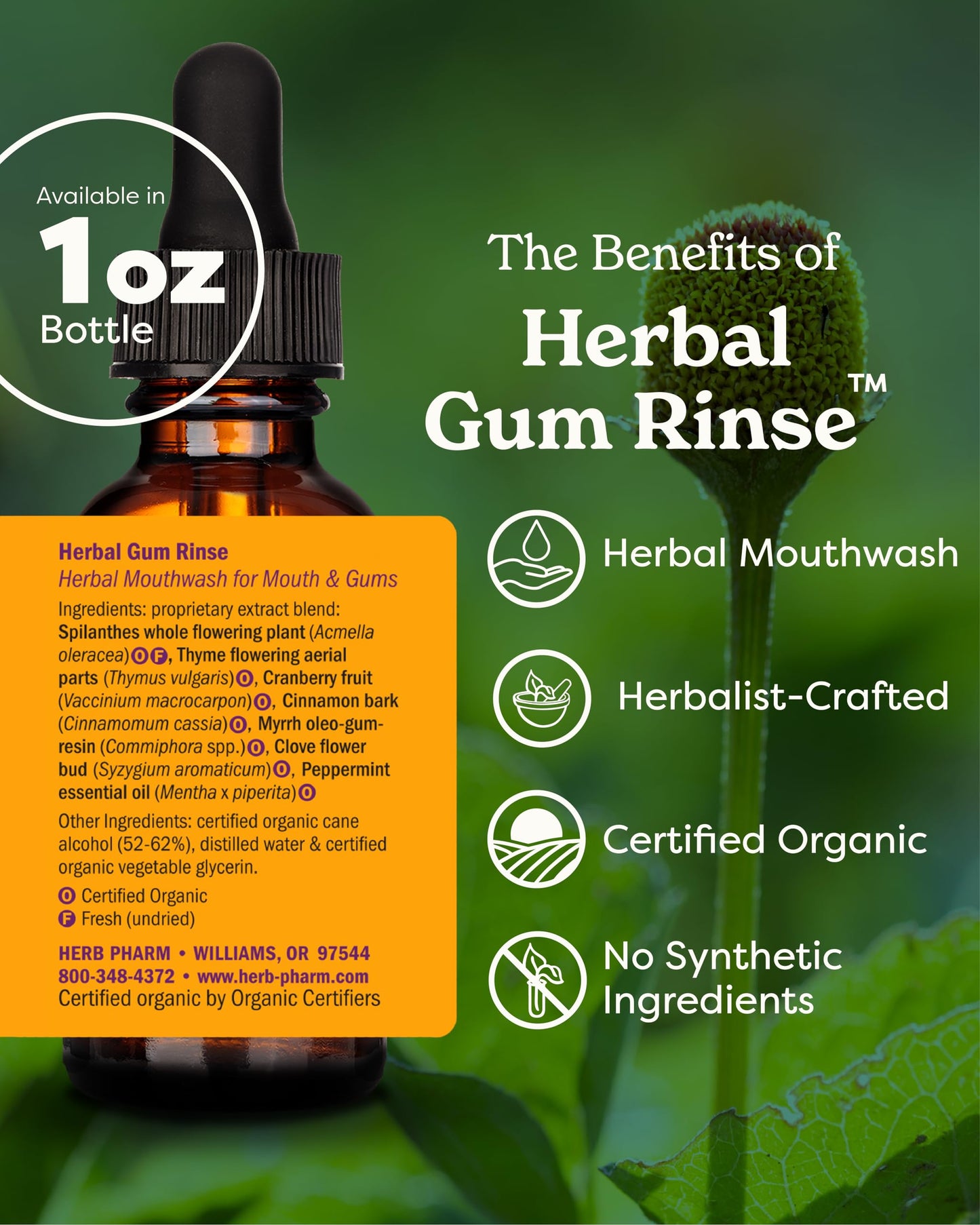 Herb Pharm Gum Guardian Herbal Mouthwash for Healthy Mouth and Gums, Organic, 1 Fl Oz (Pack of 1)