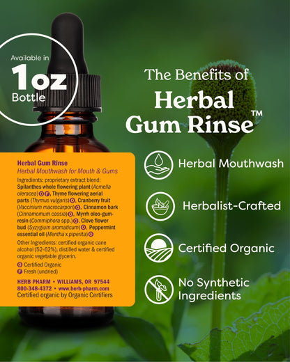 Herb Pharm Gum Guardian Herbal Mouthwash for Healthy Mouth and Gums, Organic, 1 Fl Oz (Pack of 1)