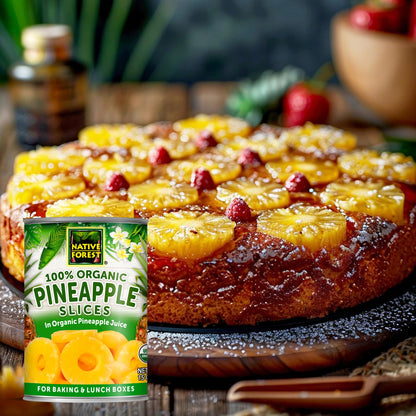 Native Forest Pineapple Slices - Pineapple Canned, Pineapple Organic, Canned Fruit No Sugar Added, Organic Pineapple Juice - 15 Ounce (Pack of 6)