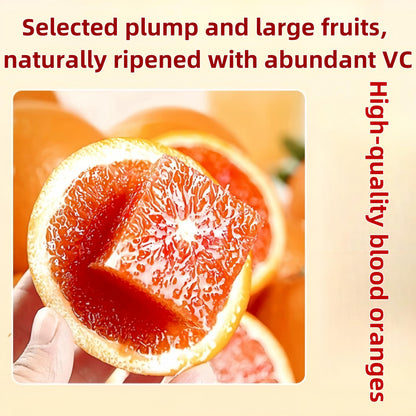 Drink Botanicals Blood Orange Slices - 85g/3oz Pure Dehydrated Citrus Wheels in Reusable Jar, No Added Sugar & Wheat-Free Garnish for Cocktails, Baking, Wreaths & Tea Infusions
