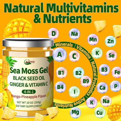 ACEYO Sea Moss Gel 4-in-1, Irish SeaMoss with Black Seed Oil & Ginger,Rich in Minerals & Vitamins,Immunity & Health Support,Superfood,Non-GMO, Vegan,Mango Pineapple Flavor,10 oz (Pack of 1)