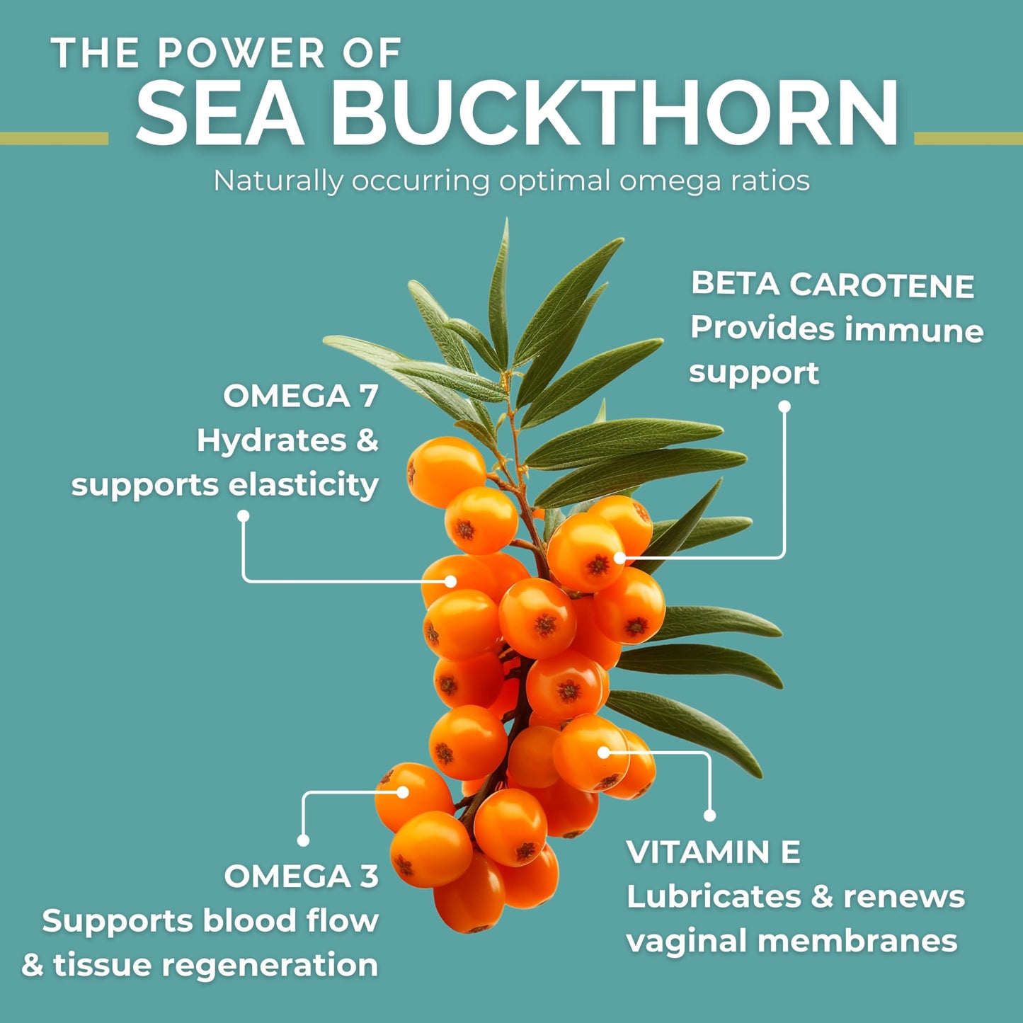 SeabuckWonders Organic Fem-Omega7 Vaginal Moisture Support Softgels, 60 Count, 30 Day Supply, Sea Buckthorn Oil Vaginal Moisturizer, Supports Female Dryness, Feminine Care