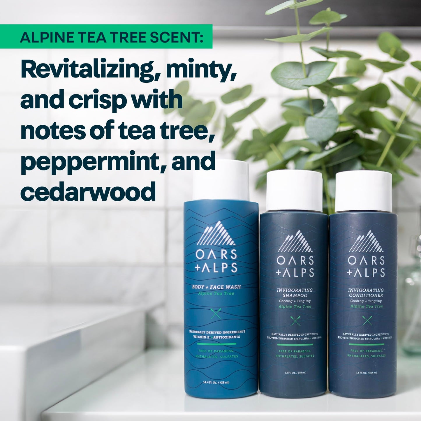 Oars + Alps Men's Sulfate Free Shampoo, Infused with Witch Hazel & Tea Tree Oil, Cleanses & Refreshes, Alpine Tea Tree Scent, 1 Pack, 13.5 Fl Oz