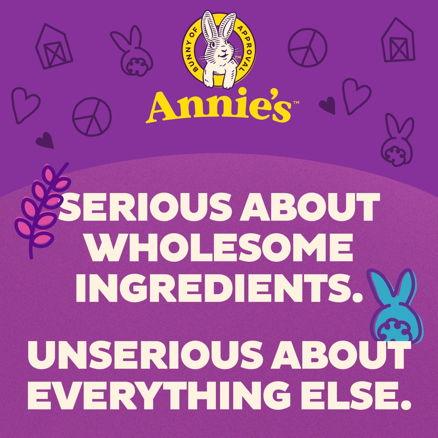 Annie's Organic Macaroni and Cheese Variety Pack, Shells & White Cheddar and Shells & Real Aged Cheddar, 6 oz (Pack of 12)