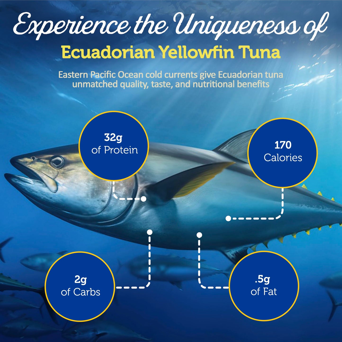 ONBOARD Yellowfin Tuna Fillets, Mediterranean Seafood Diet | Pescatarian Jarred Atun, Fresh Sea Tuna Salad | High in Protein - Healthy Ready-to-Eat Snacks, Packed in Glass Jar | (6 Packs, Spring Water)