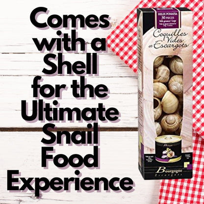 Bourgogne Escargots Burgundy French Escargot Set - 24 Unattached Snail Shells and Snail Meat