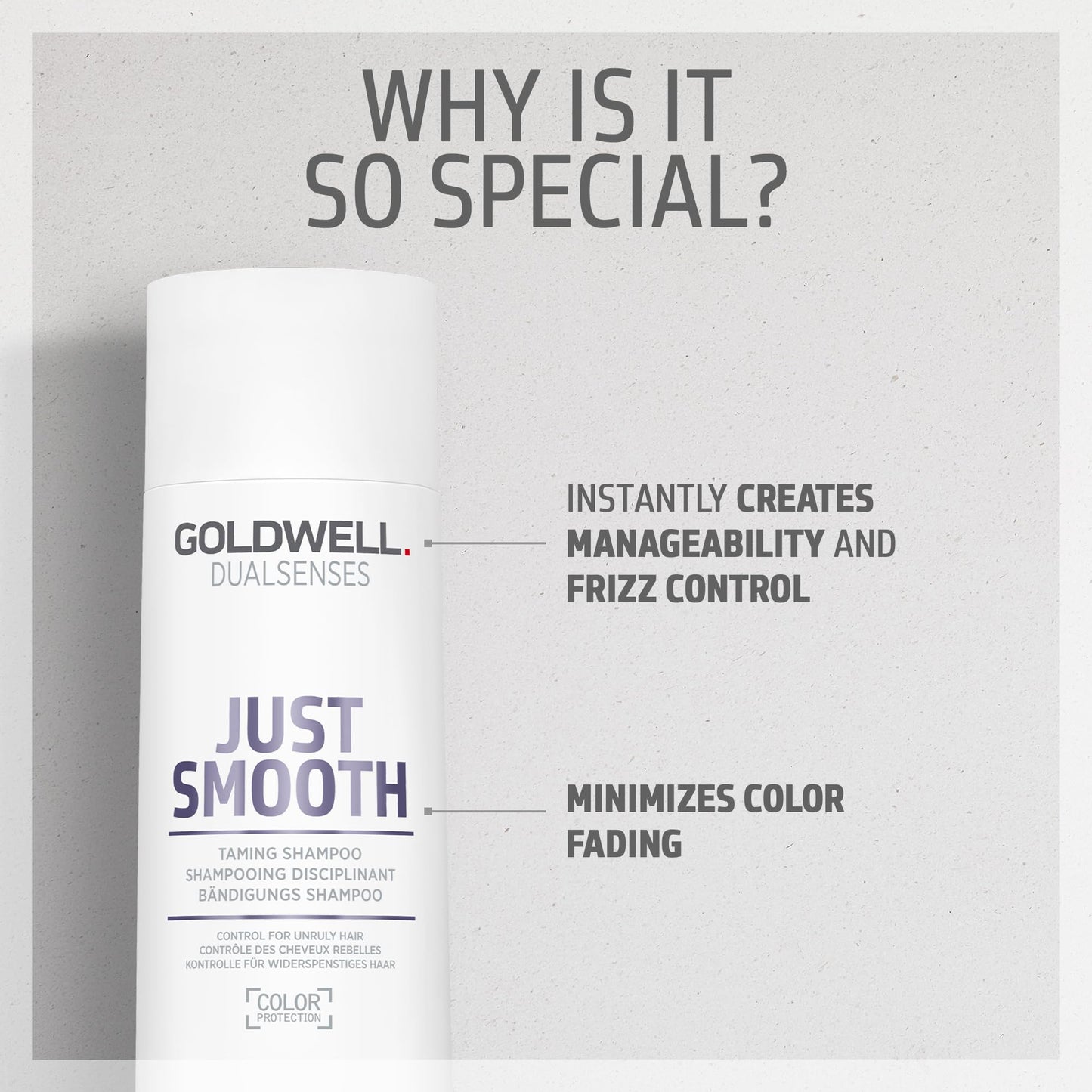 Goldwell Dualsenses Just Smooth Taming Anti-Frizz & Humidity Control Shampoo
