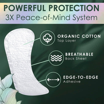 L. Ultra Thin Unscented Liners, Regular Coverage, 336 Count