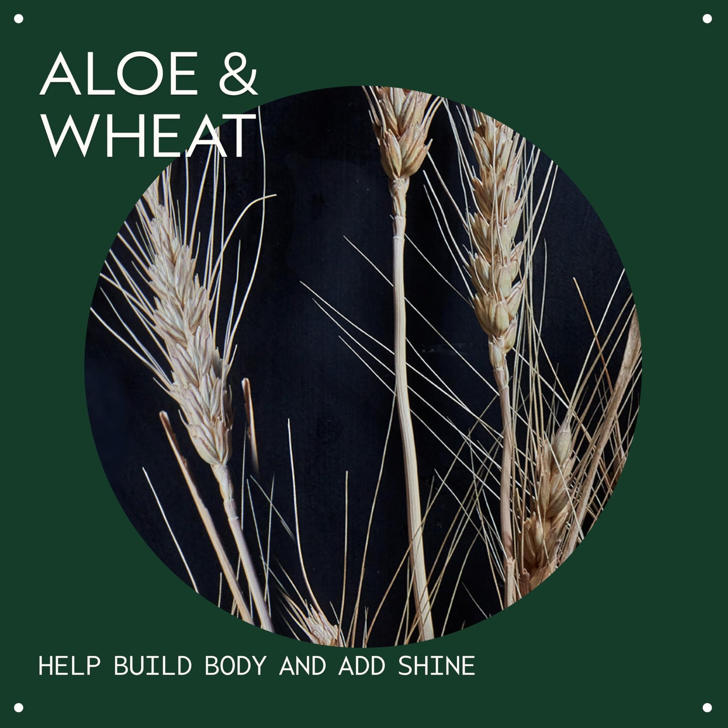 Aveda Volumizing Hair Tonic | Volume Spray for Fine and Medium Hair Types | Build Body + Shine | With Wheat Amino Acids and Certified Organic Aloe | 92% Naturally Derived*