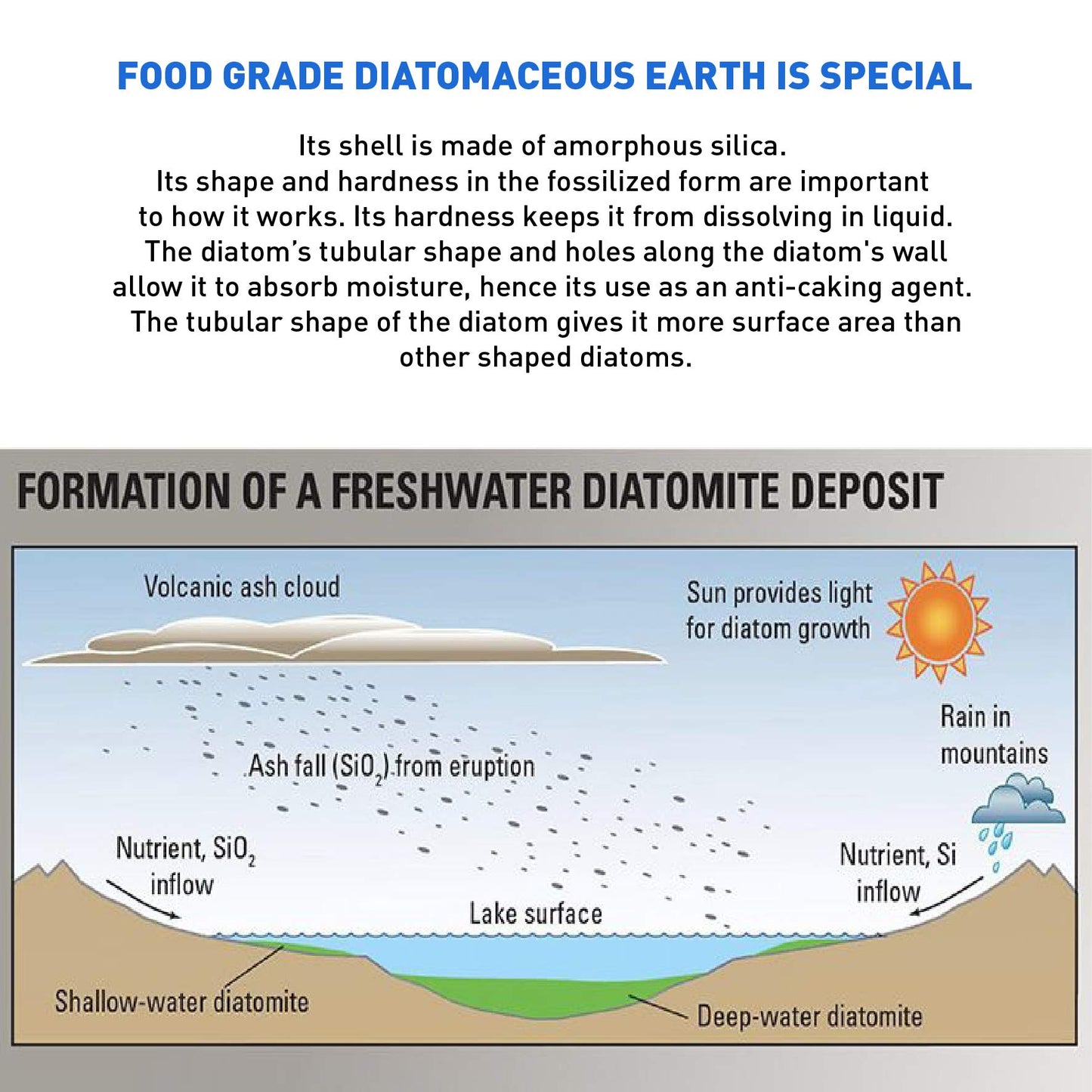 Diatomaceous Earth Food Grade – 100% Natural Organic – Safe For Humans and Pets – Fresh Water Powder – Sealed Bag