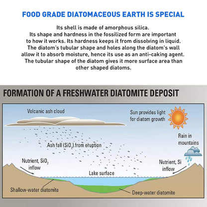 Diatomaceous Earth Food Grade – 100% Natural Organic – Safe For Humans and Pets – Fresh Water Powder – Sealed Bag