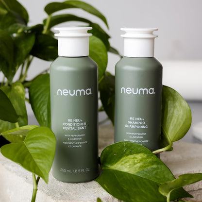Neuma Re Neu Conditioner