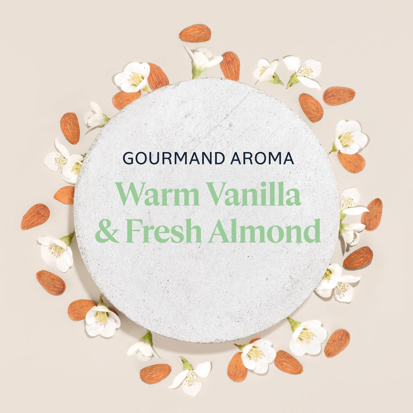 L'Occitane Almond Milk Concentrate, 48 Hour Hydration*, Moisturizes, Firms & Smooths Skin with Almond Milk & Oil, Clean Skincare, Non-Greasy, Vegan