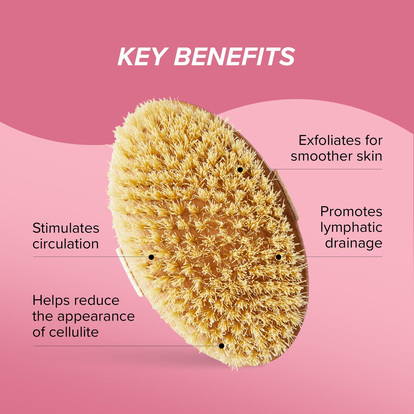 Skin Gym Bamboo Dry Body Brush, Natural Bristle Exfoliating Tool for Smooth, Radiant Skin