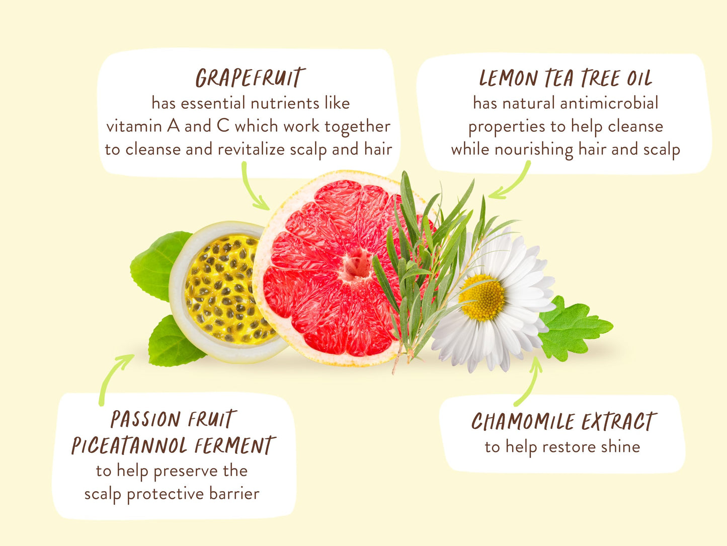 Babo Botanicals Purifying Lemon Tea Tree & Grapefruit Shampoo + Bundle with Conditioner – For Flat, Oily Prone Hair – Add body & shine - Passion Fruit Ferment for scalp