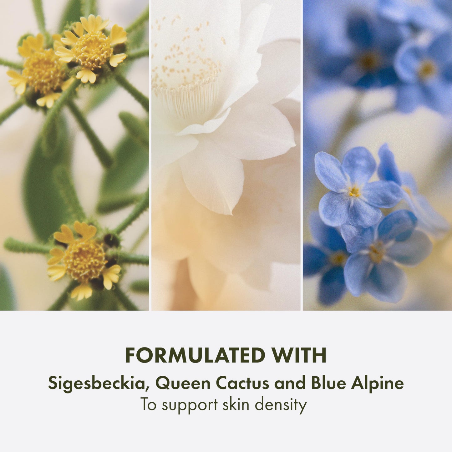 Origins Plantscription Triple-Action Youth Cream | Our Firming, Smoothing, Hydrating Face Cream | With Our Signature Blend of Anogeissus and Peptides, 1.7 Fl Oz