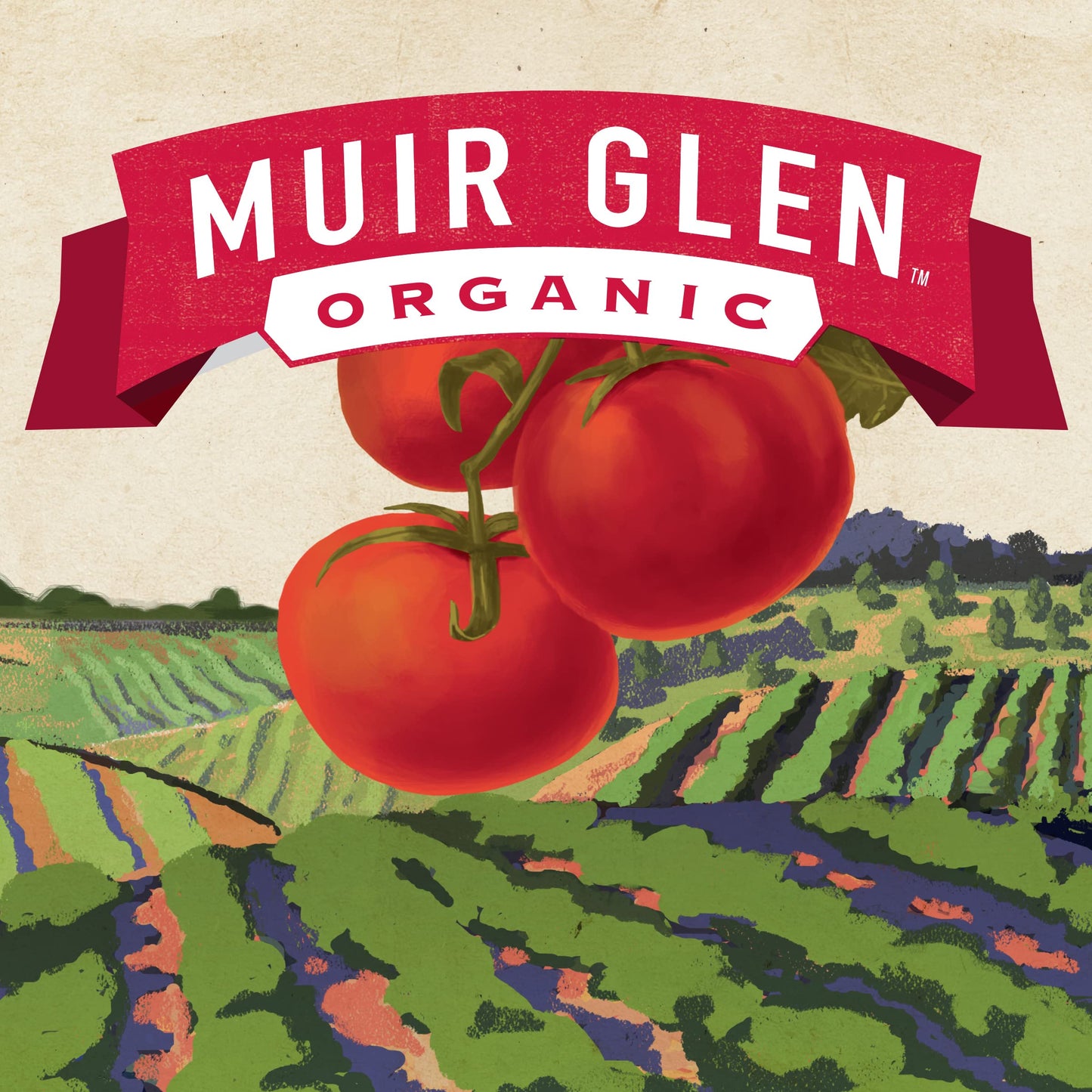 Muir Glen Organic Tomato Paste, 6 oz. (Pack of 24)