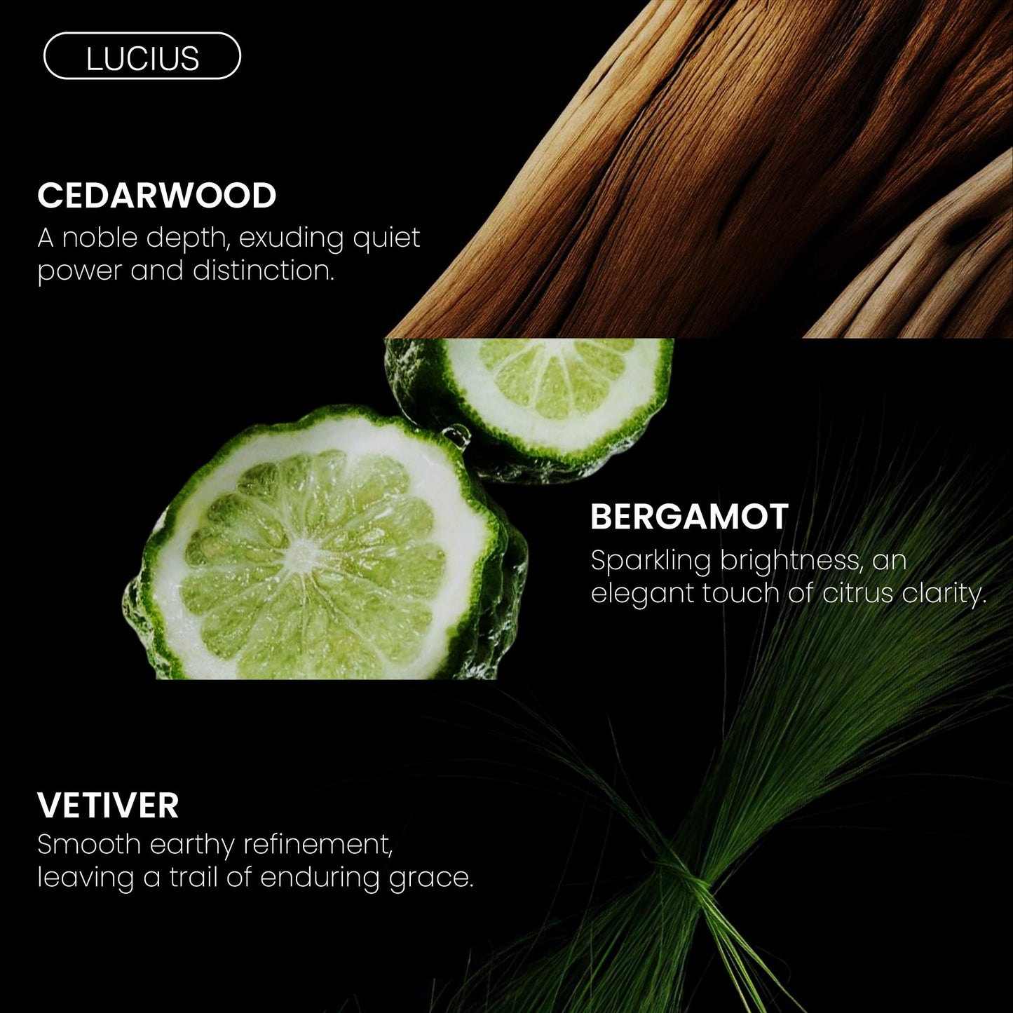 Fragrance Du Bois Lucius Parfum