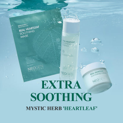 DERMALOGY by NEOGENLAB Real Heartleaf Soothing Cream 80g