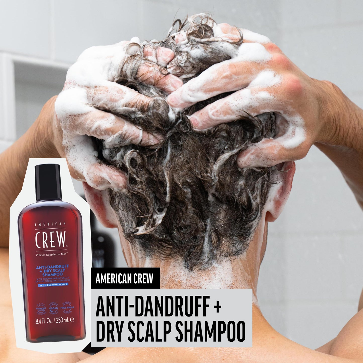 American Crew Anti-Dandruff + Dry Scalp Shampoo for Men, Citrus Mint Scent, 8.4 fl oz