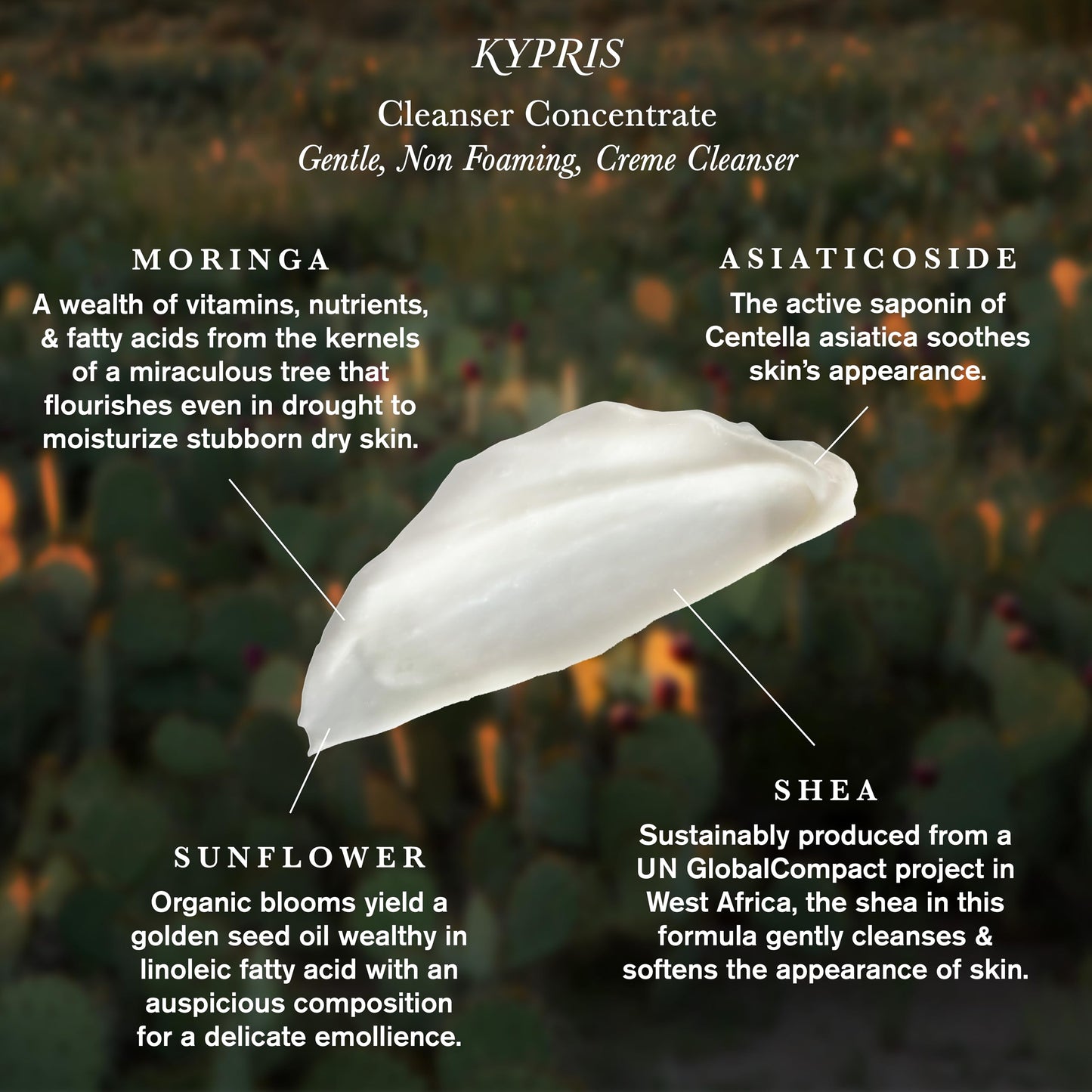 KYPRIS Cleanser Concentrate Softening Fermented