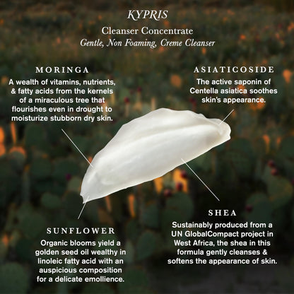 KYPRIS Cleanser Concentrate Softening Fermented