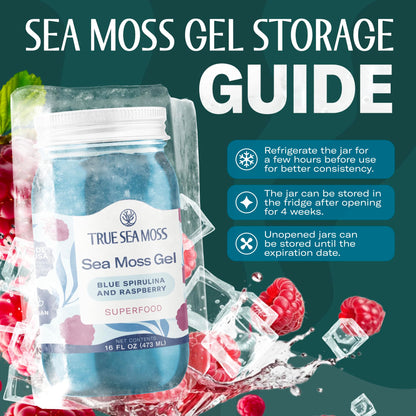 TrueSeaMoss Sea Moss Gel – Made in USA – Wildcrafted Seamoss, Fruits & Jarred Vegetables – Blue Spirulina, Pack of 1 (Labels may Vary)