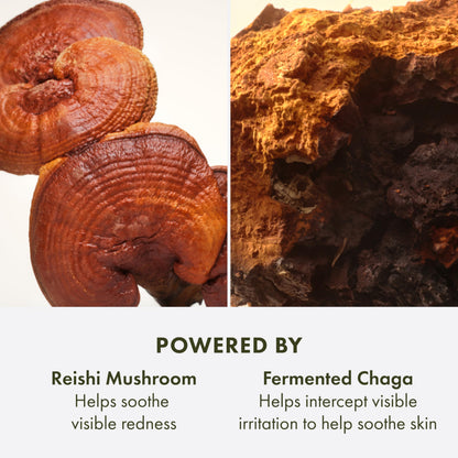 Origins Mega-Mushroom Advanced Face Serum | Reduces Visible Redness & Strengthens Skin's Barrier | With Reishi Mushroom, 1.7 Fl Oz