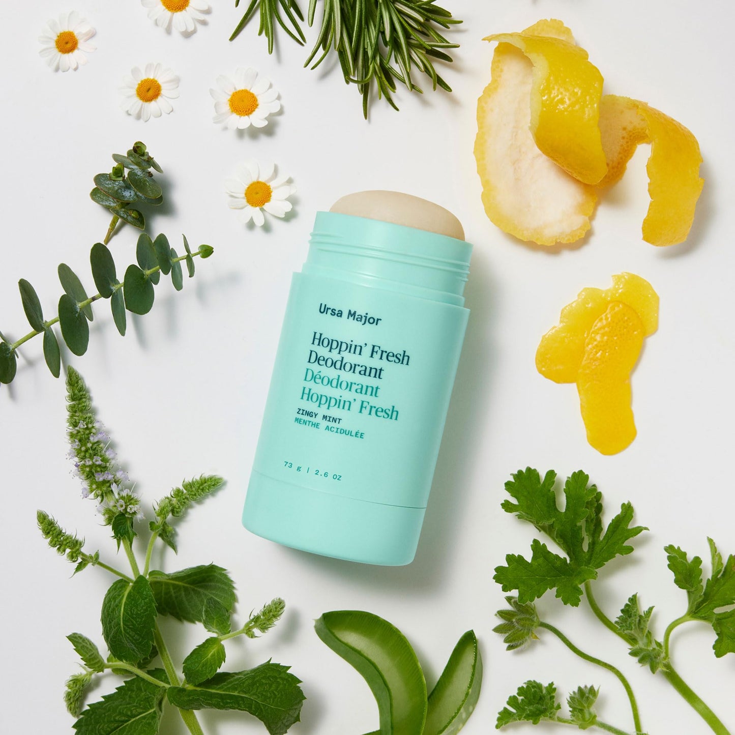 Ursa Major Hoppin' Fresh Deodorant | Natural, Aluminum-Free, Non-toxic, Cruelty-Free | Formulated for Men and Women | 2.6 ounce
