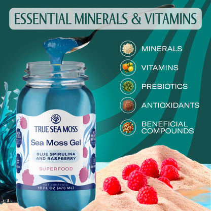TrueSeaMoss Sea Moss Gel – Made in USA – Wildcrafted Seamoss, Fruits & Jarred Vegetables – Blue Spirulina, Pack of 1 (Labels may Vary)
