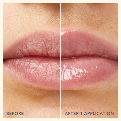 Beekman 1802 Oh Mega Milk Lip Oil - Fragrance Free - Squalane, Vitamin E & Goat Milk - Plumps & Hydrates Lips - 0.14 fl oz