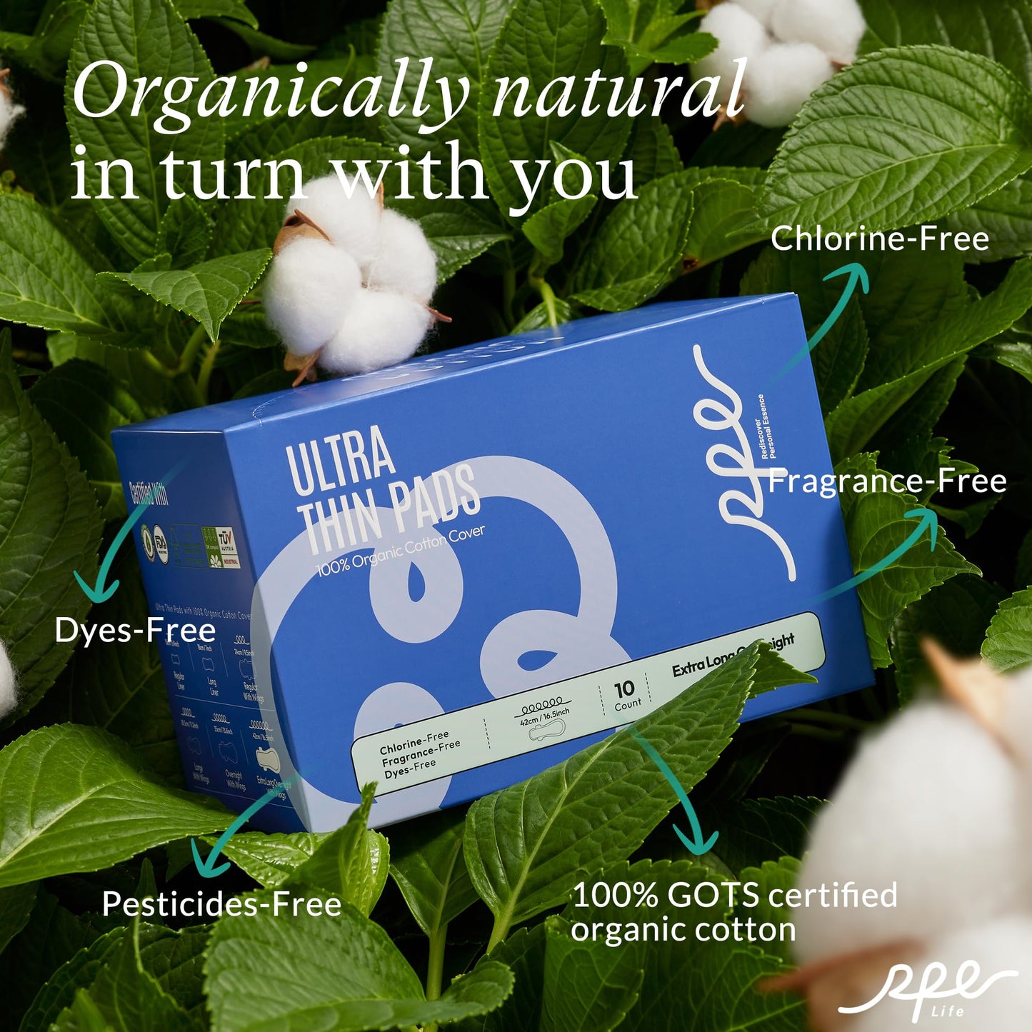 Organic Feminine Care Bundle: Large pH-Balanced Wipes & Ultra-Thin Absorbent Sanitary Pads for Women, 10ct Wipes + (Extra Long Overnight, Size 6, 30ct)