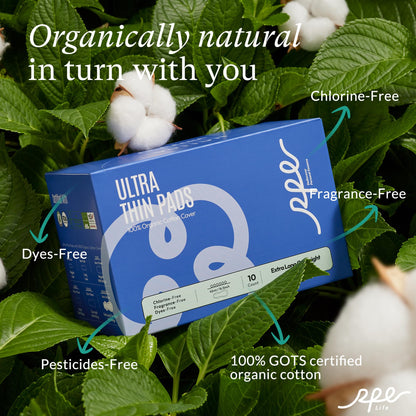 Organic Feminine Care Bundle: Large pH-Balanced Wipes & Ultra-Thin Absorbent Sanitary Pads for Women, 10ct Wipes + (Extra Long Overnight, Size 6, 30ct)