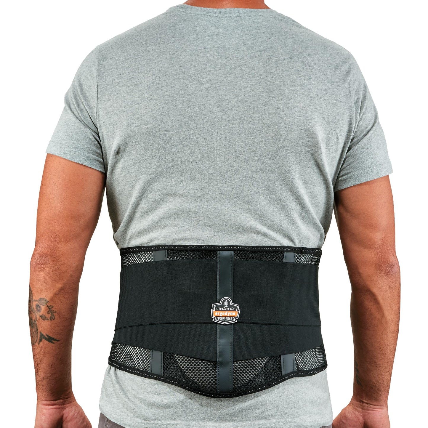Ergodyne ProFlex 1051 Mesh Back Support, Large, Black