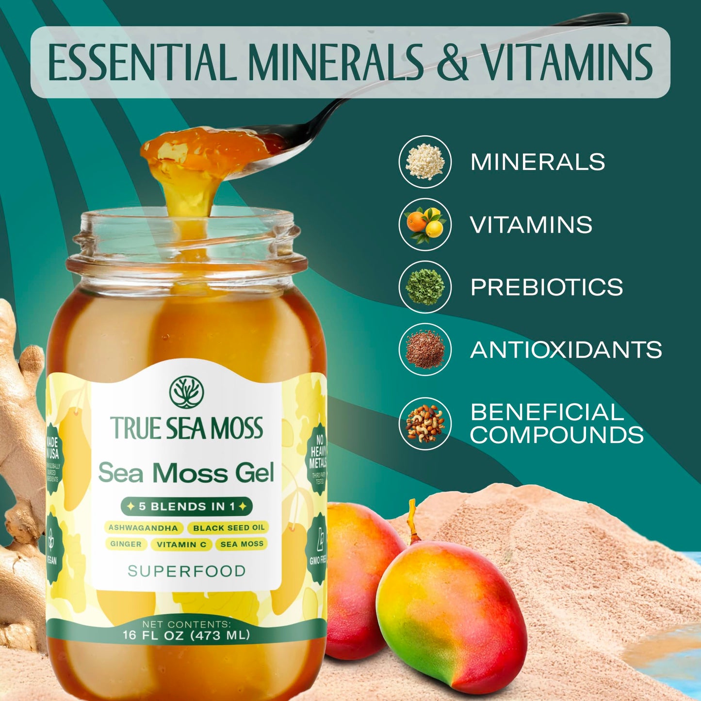 TrueSeaMoss Sea Moss Gel – Made in USA – 5-in-1 Formula – Wildcrafted Seamoss, Ashwagandha & Jarred Vegetables – Ashwagandha, Pack of 1 (Labels may Vary)