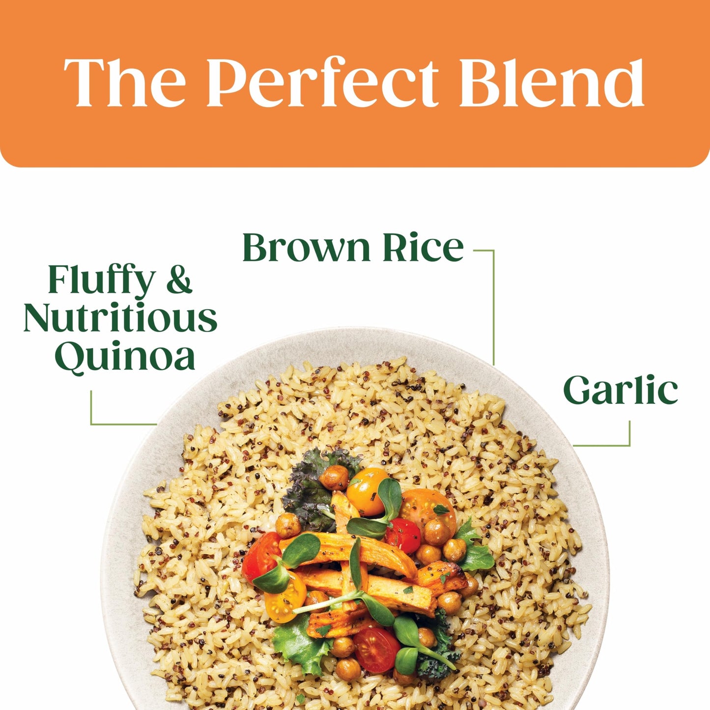 SEEDS OF CHANGE Organic Quinoa & Brown Rice with Garlic Family Size, Organic Food, 17.3 oz Pouch (Pack of 6)