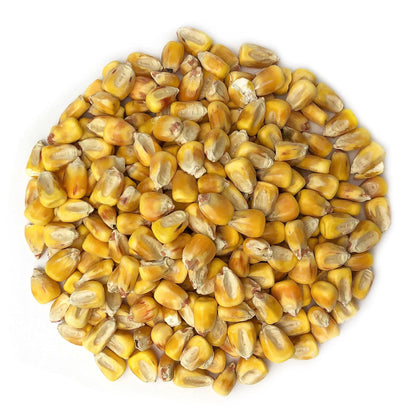 Food to Live Organic Yellow Whole Corn, 3 Pounds - Non-GMO Maize, Cleaned and Dried Kernels, Vegan, Kosher, Bulk Cereal Grain, Good Source of B vitamins, Thiamin, and Folate
