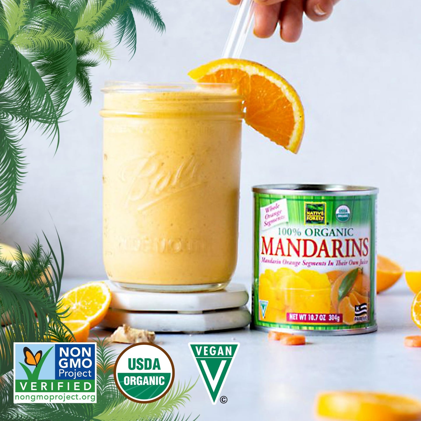 Native Forest Organic Mandarin Oranges - Mandarin Oranges Canned, Organic Mandarins, Organic Oranges, Canned Fruit - 10.7 Ounce (Pack of 6)